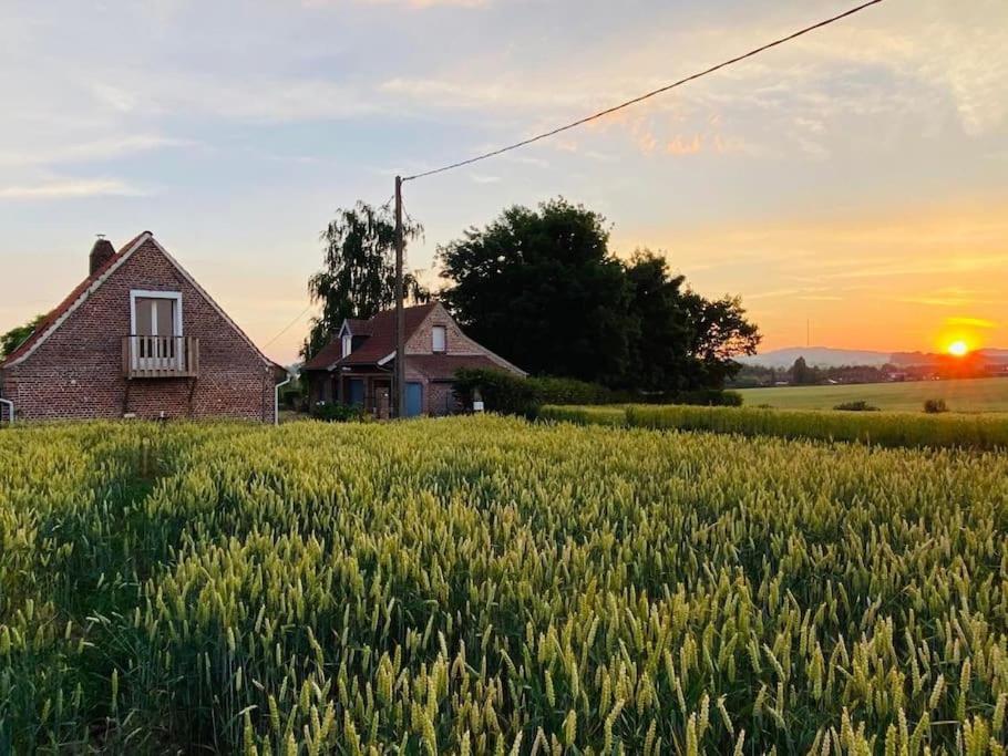 Cottage Chaleureux Au Coeur Des Monts De Flandres Saint-Jans-Cappel Exterior foto